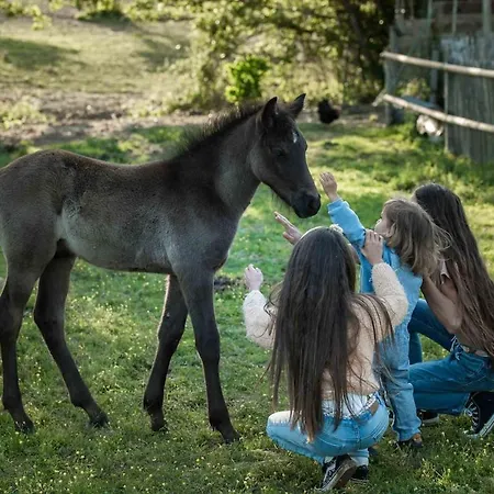 펜션 Au Bord De L Entre Prairies Et Chevaux *